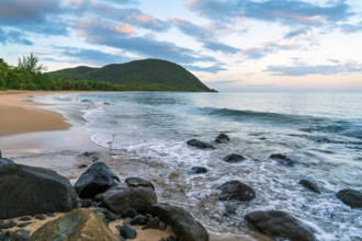 Grande Anse beach, coast and sea at dawn, Deshaies, Basse Terre, Guadeloupe, French Antilles,