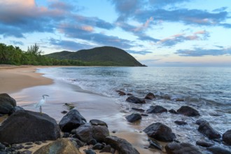 Grande Anse beach, coast and sea at dawn, Deshaies, Basse Terre, Guadeloupe, French Antilles,