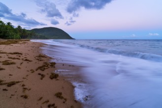 Grande Anse beach, coast and sea at dawn, Deshaies, Basse Terre, Guadeloupe, French Antilles,