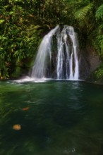 Cascade aux Ecrevisses waterfall in the Guadeloupe National Park, Basse Terre, Guadeloupe, French