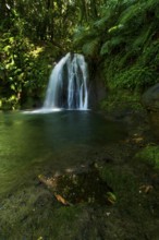 Cascade aux Ecrevisses waterfall in the Guadeloupe National Park, Basse Terre, Guadeloupe, French