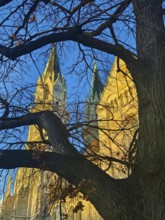 Two church towers protrude from behind a tree, silhouetted against the clear blue sky,