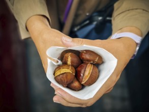Person holding a bag of freshly roasted chestnuts that radiate warmth and autumn atmosphere Lower