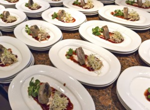 Elegant arrangement of appetiser plates with meat, salad and sauce in a buffet presentation Lower