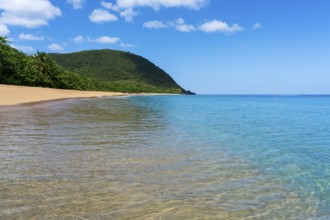 Grande Anse beach, Deshaies, Basse Terre, Guadeloupe, French Antilles, Caribbean