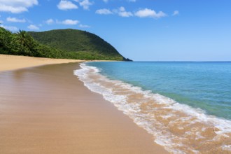Grande Anse beach, Deshaies, Basse Terre, Guadeloupe, French Antilles, Caribbean