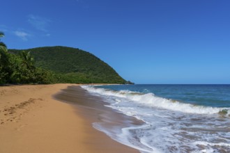 Grande Anse beach, Deshaies, Basse Terre, Guadeloupe, French Antilles, Caribbean