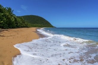 Grande Anse beach, Deshaies, Basse Terre, Guadeloupe, French Antilles, Caribbean
