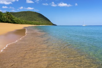 Grande Anse beach, Deshaies, Basse Terre, Guadeloupe, French Antilles, Caribbean