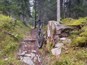 Bicycle next to a tree stump on a mossy forest path Styria Austria