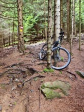Mountain bike on trees in the forest, surrounded by earth and roots Styria Austria