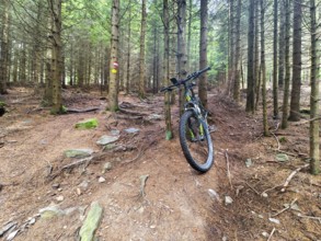 Mountain bike on an earthy forest path surrounded by slender trees Styria Austria