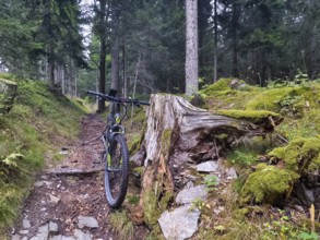 Bicycle next to a moss-covered tree stump on a forest path Styria Austria