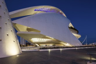 Impressive futuristic building under the night sky, stylishly illuminated Opera House