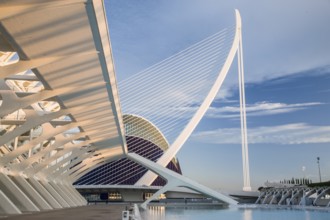 Modern architecture in Valencia with futuristic design and blue sky in the background City of Arts