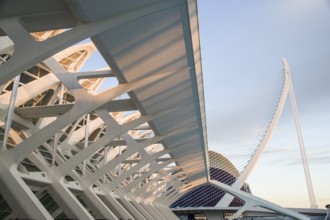 Futuristic architecture in Valencia with light blue and white structures in the shade City of Arts