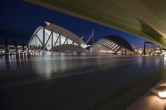 Valencia Spain Illuminated modern architecture with water at night in Valencia City of Arts and