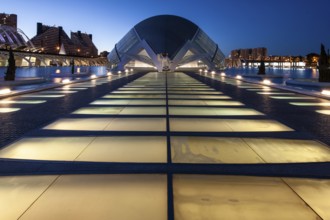 Valencia Spain Futuristic architecture at night, illuminated against the clear night sky City of