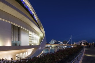Valencia Spain Futuristic architectural structure illuminated at night with elegant arches Opera