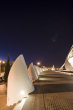 Valencia Spain Modern architectural structure at night with illuminated walkway City of Arts and