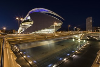 Valencia Spain Bright futuristic building and bridge illuminated at night in urban surroundings