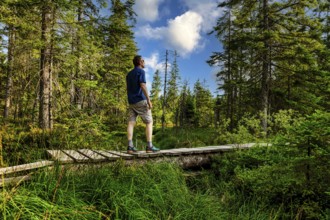 Hiker on the boardwalk in the HirschbÃ¤der Hochmoor, Zweiseenblickmoor, Menzenschwand, Black
