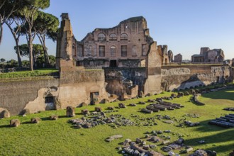 Historic Palatine Stadium Hippodrome of Roman Emperor Domitian with in the foreground by