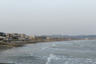 Houses on the seafront and surfers in the surf at dusk on the beach in Kamakura, Kanagawa