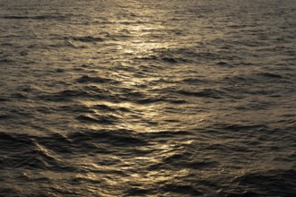 Background image, water surface in evening light, waves in the sea at sunset, Tokyo Bay, Japan