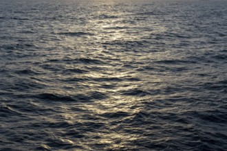 Background image, water surface in evening light, waves in the sea at sunset, Tokyo Bay, Japan