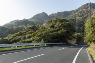 Tarmac road through green vegetation and mountain landscape in the evening light, Hota, Kyonan,