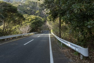 Guardrail and tarmac road through green vegetation and mountain landscape in the evening light,