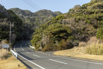 Tarmac road through green vegetation and mountain landscape in the evening light, Hota, Kyonan,