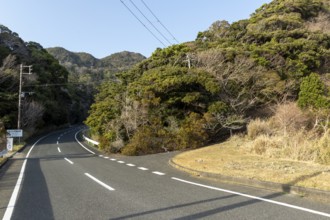 Tarmac road through green vegetation and mountain landscape in the evening light, Hota, Kyonan,