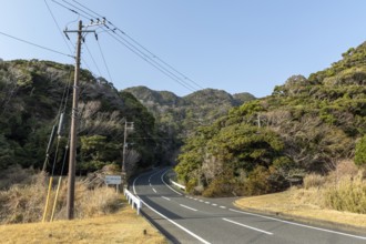 Tarmac road through green vegetation and mountain landscape in the evening light, Hota, Kyonan,