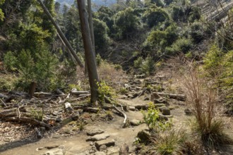 Vegetation and mountain landscape along the Shariki-michi Trail to Mount Nokogiri, Mount Nokogiri,