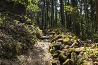Stone steps, vegetation, forest and mountain landscape along the Shariki-michi Trail to Mount