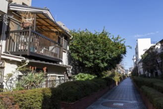 Residential buildings in front of a blue sky in a narrow alley with green plants and idyllic
