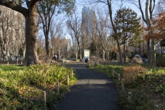 Trees and path through the green area of Shinjuku Central Park, Nishi-Shinjuku neighbourhood,