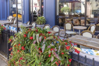 Ontario, Blue Mountain resort restaurants and cafes in the Blue Mountain village shopping and