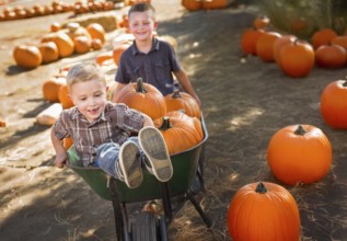 Two little boys playing in wheelbarrow at the pumpkin patch on a sunny fall day