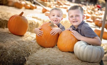 Two boys having fun at the pumpkin patch on a sunny fall day