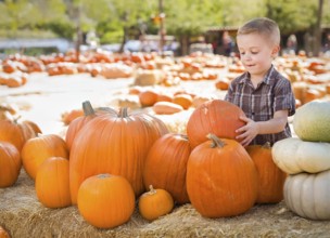 Young cute boy having fun at the pumpkin patch on a sunny fall day
