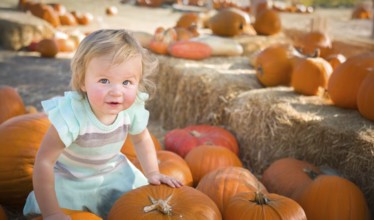 Cute baby girl having fun at the pumpkin patch on a sunny fall day