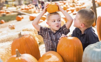 Two boys having fun at the pumpkin patch on a sunny fall day