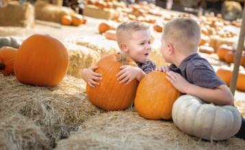 Two boys having fun at the pumpkin patch on a sunny fall day