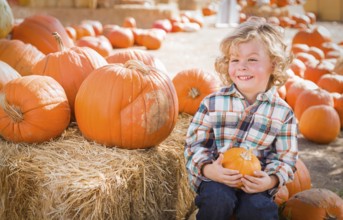 Cute young boy having fun at the pumpkin patch on a sunny fall day