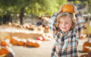 Cute young boy having fun at the pumpkin patch on a sunny fall day
