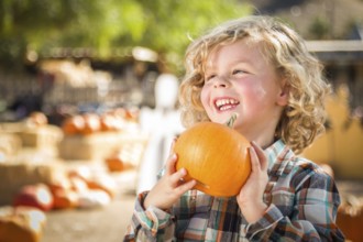 Cute young boy having fun at the pumpkin patch on a sunny fall day