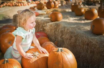 Cute baby girl having fun at the pumpkin patch on a sunny fall day